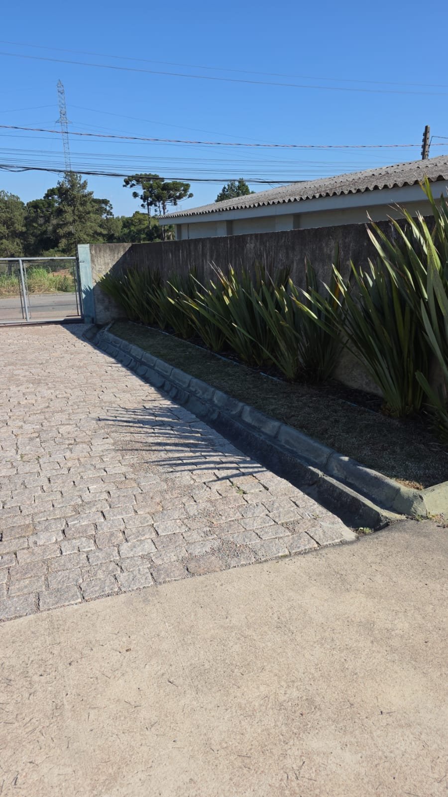 Composição de plantas para ambientes internos e de entrada